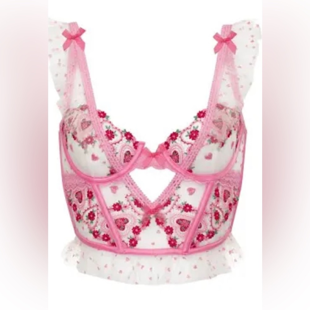 NWT For Love and Lemons Whimsical Garden Bustier 38C